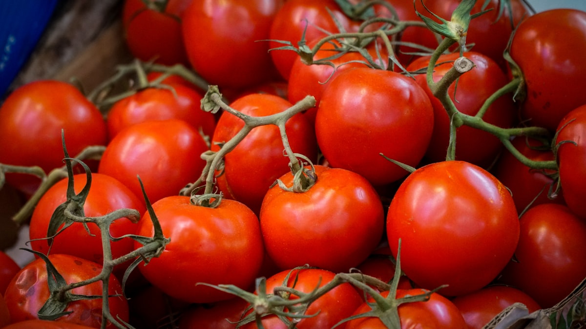 Menu sain avec fruits, légumes et protéines